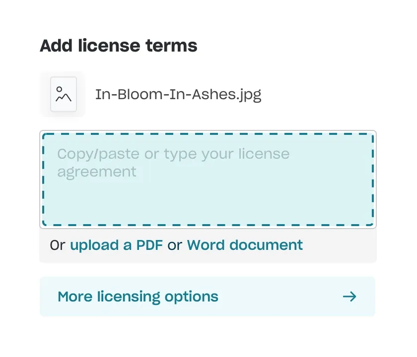 Adding licensing terms for your copyright