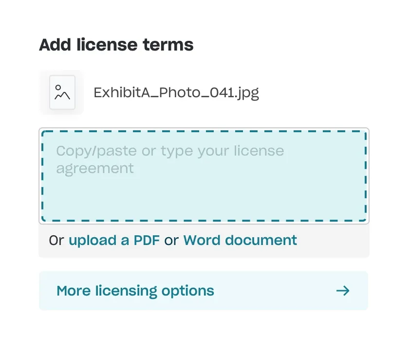 Adding licensing terms for your copyright