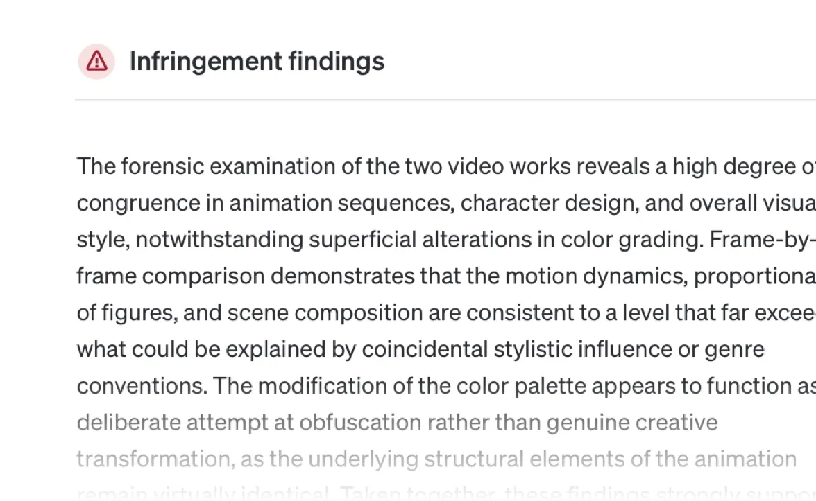 Summary of each infringement