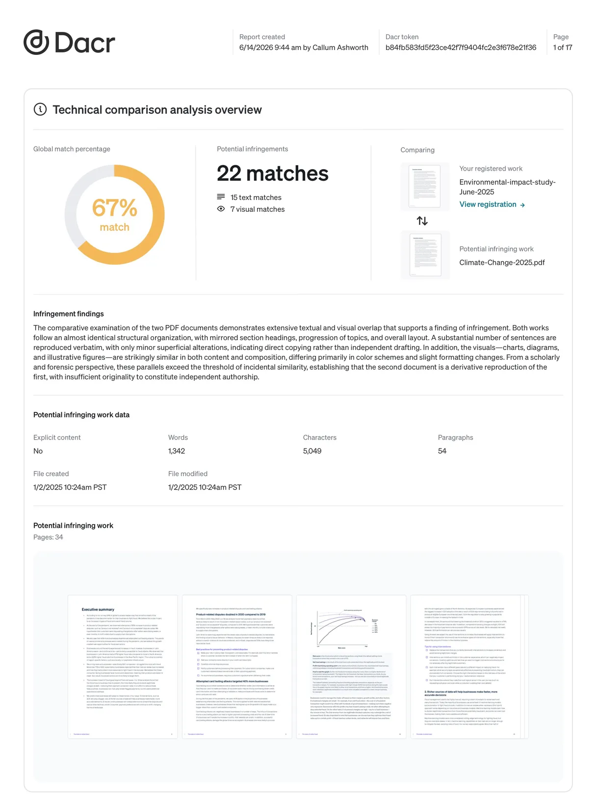 Documents infringement report cover page