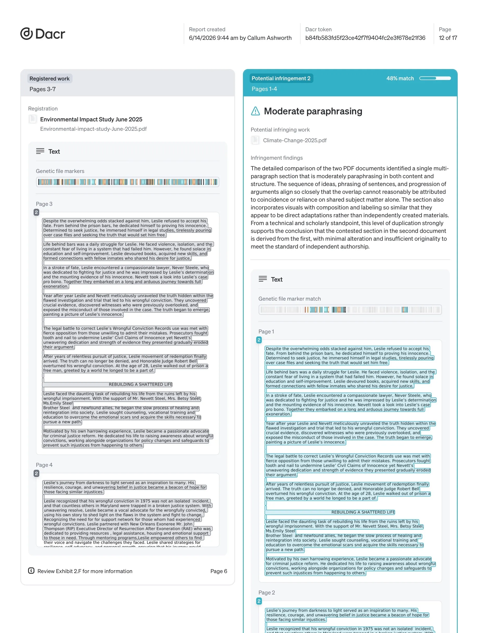 Documents infringement report detail page