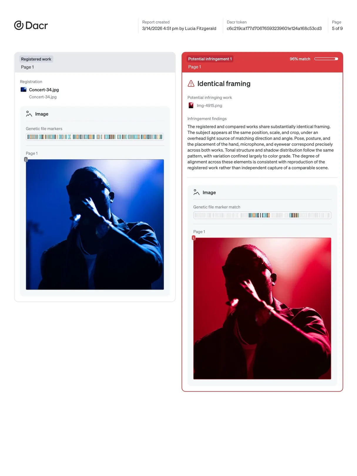 Photography infringement report detail page